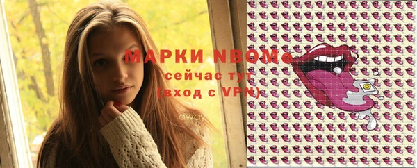 тгк Богородицк