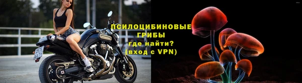 эйфоретик Струнино