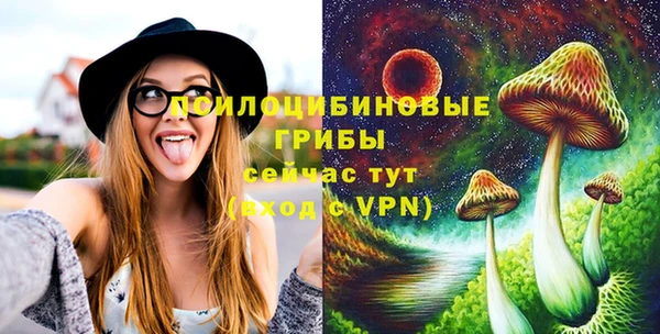марки lsd Богданович