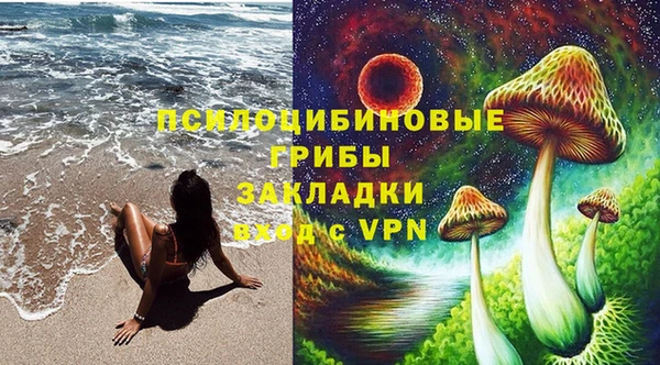 тгк Богородицк