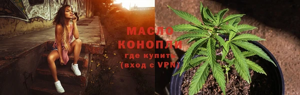 тгк Богородицк