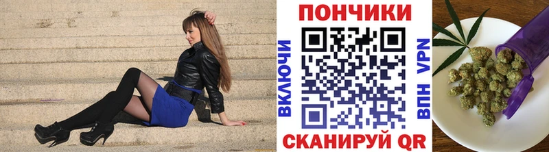 Конопля сатива  даркнет какой сайт  Моздок 